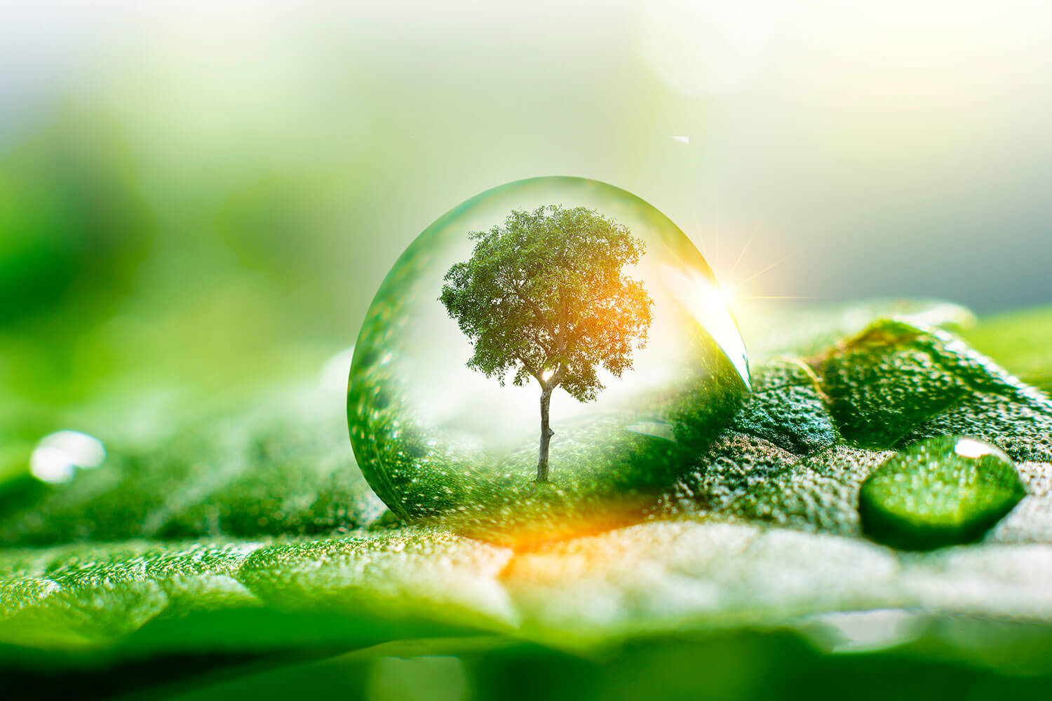 International Conference for Clean Energy